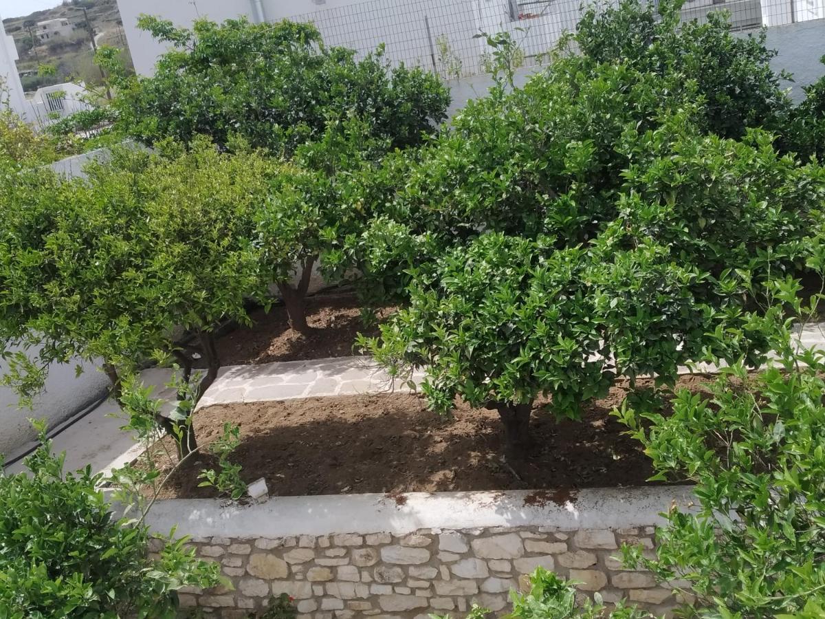 Maison d'hôtes Aegeon Garden Páros