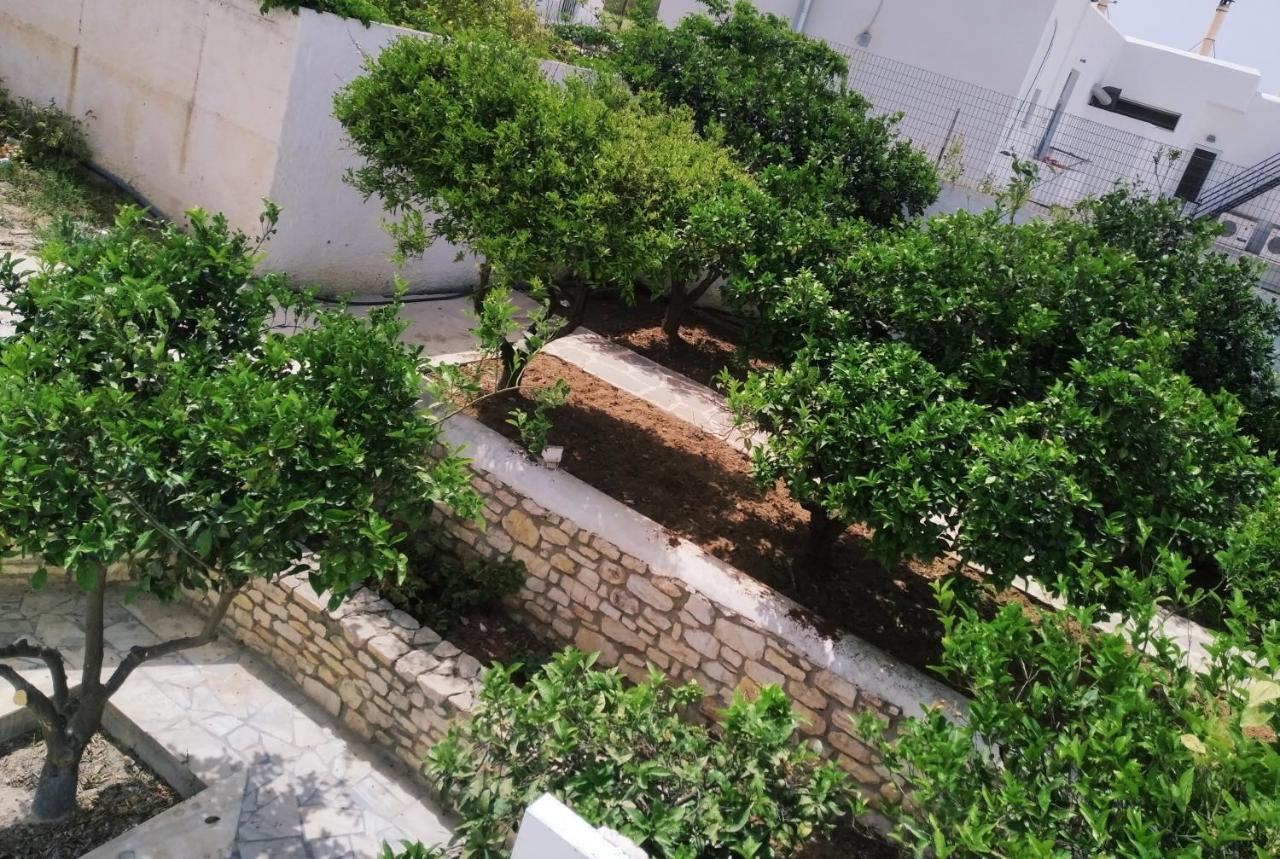 Aegeon Garden 3* Páros