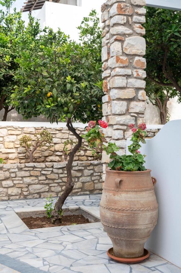 Maison d'hôtes Aegeon Garden